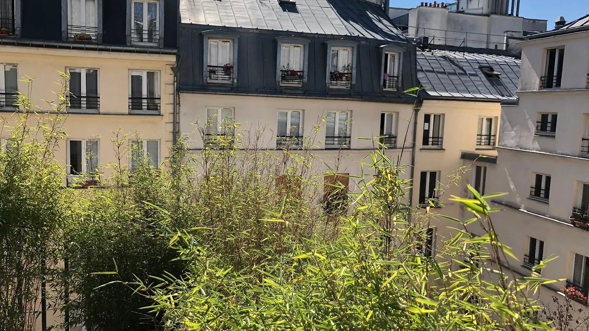 Grand Lafayette 4*